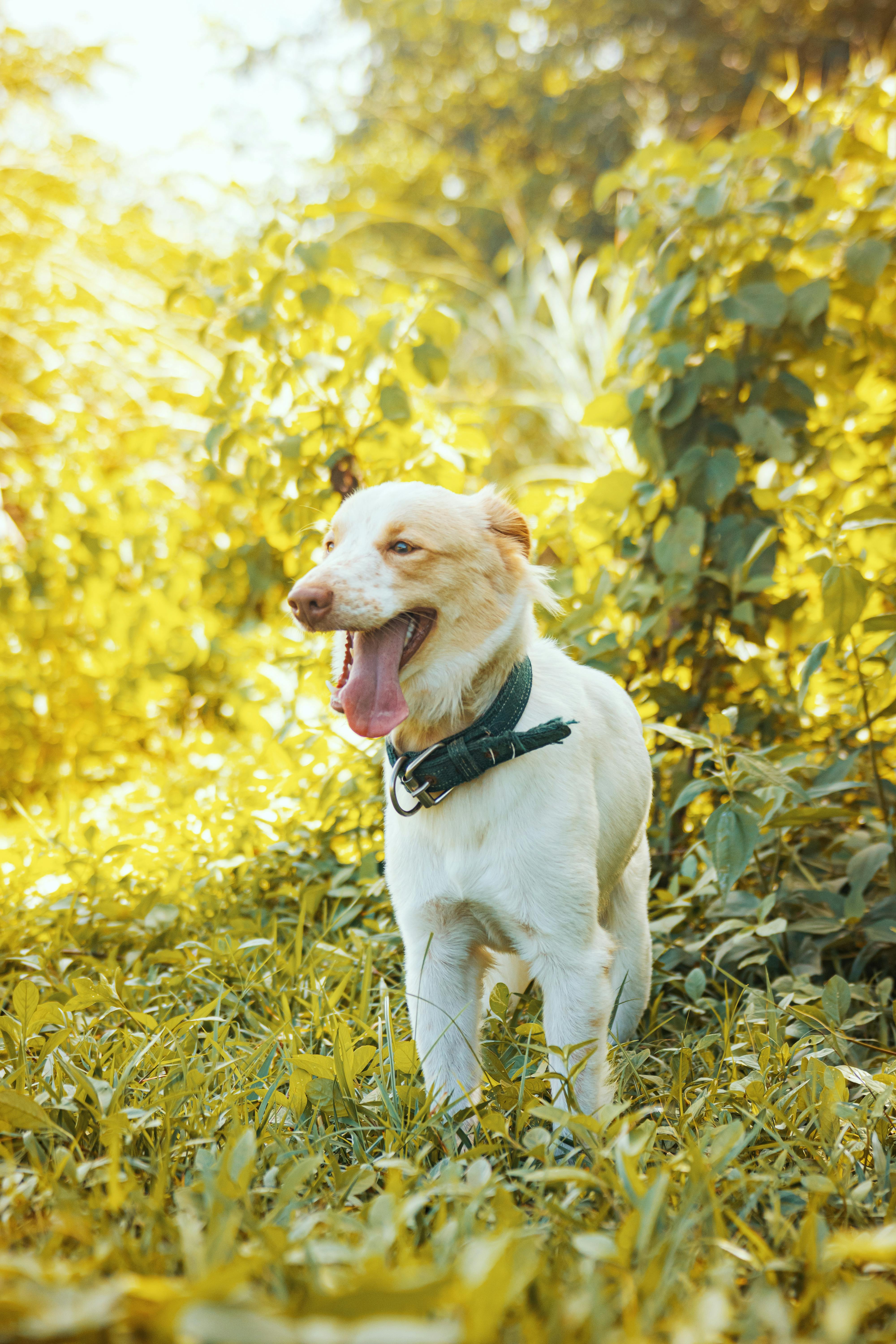 How to join the lifestyle !!!!